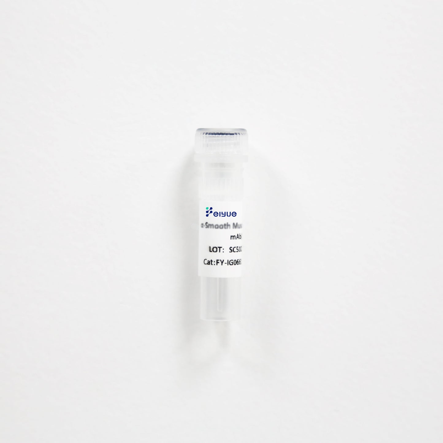 Cystatin C Mouse Monoclonal Antibody (3B12)