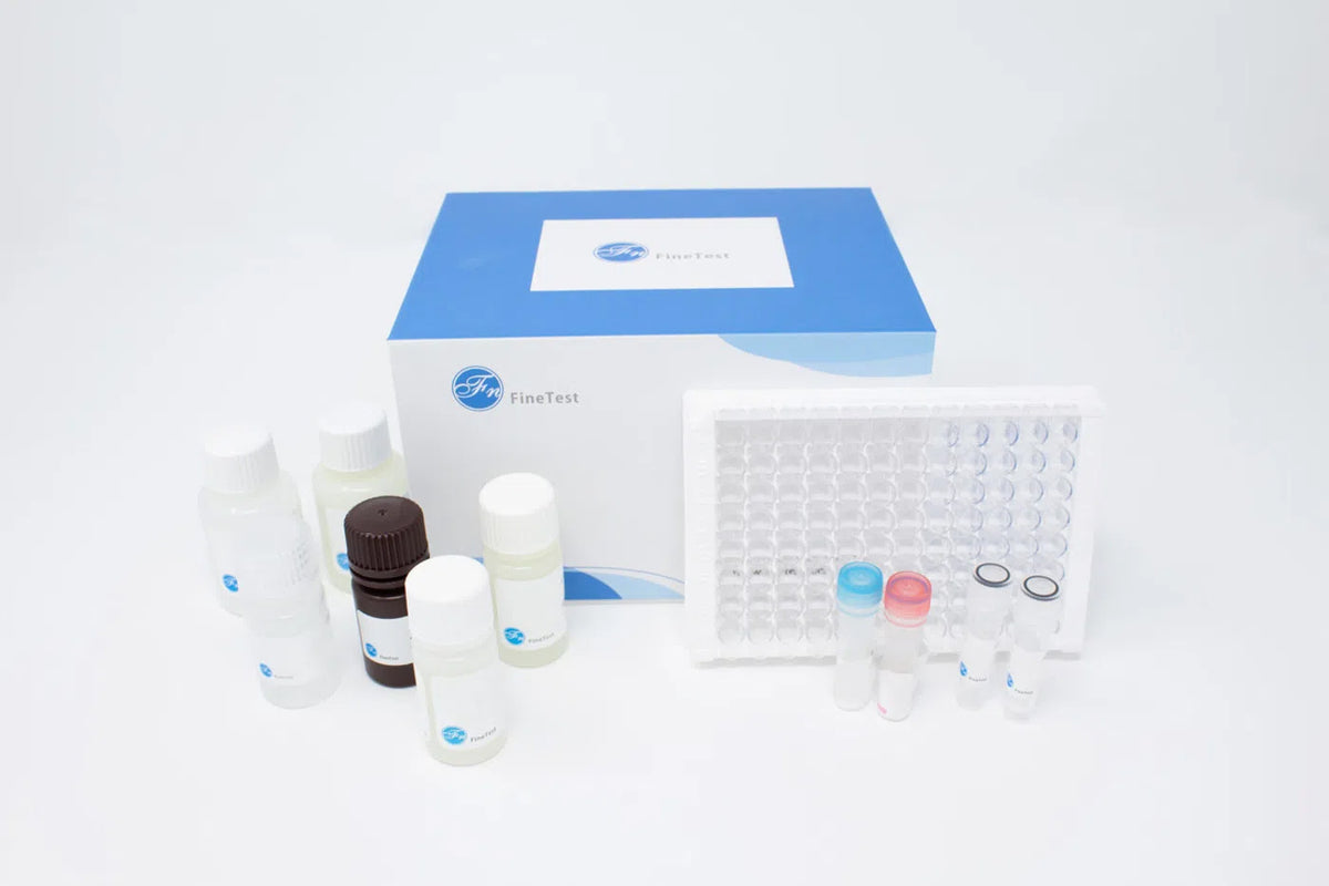 Mouse GABA (Gamma-aminobutyric acid) ELISA Kit