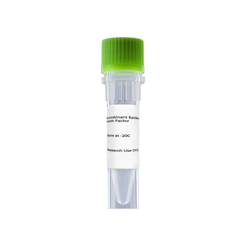 Recombinant Human Transferrin (C-6His)