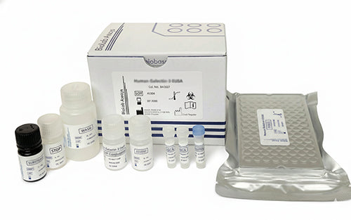 Retinol Binding Protein 4 (RBP4) ELISA