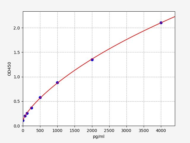 Human TNFRSF11A/RANK (Tumor necrosis factor receptor superfamily member 11A) ELISA Kit