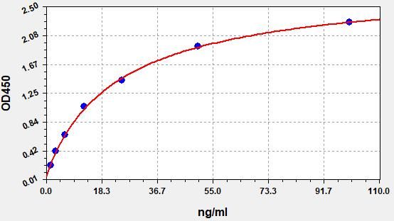Human IgG (Immunoglobulin G) ELISA Kit