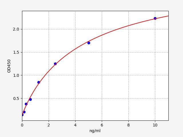Human PTK2 (Focal adhesion kinase 1) ELISA Kit