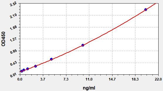 Human NE (Neutrophil elastase) ELISA Kit