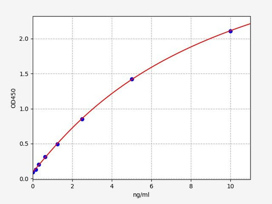 Human RHEB (Ras homolog enriched in brain) ELISA Kit