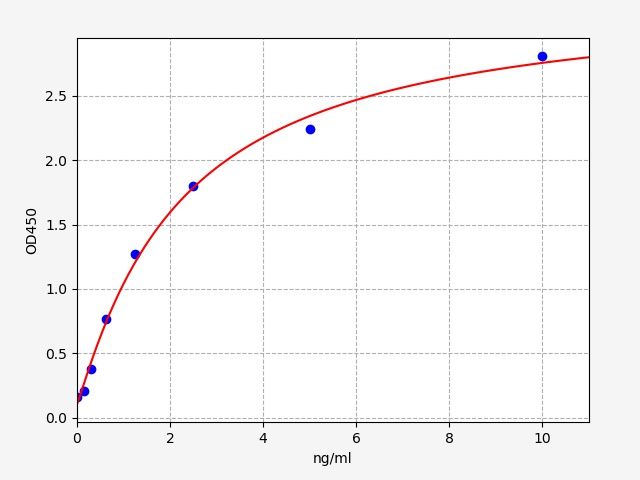 Human P3H1 (Prolyl 3-hydroxylase 1) ELISA Kit