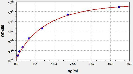 Human PSG11 (Pregnancy-specific beta-1-glycoprotein 11) ELISA Kit