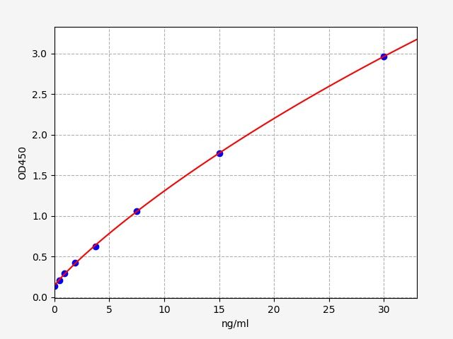 Human ELN (Elastin) ELISA Kit