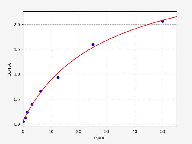 Human AGMAT (Agmatinase, mitochondrial) ELISA Kit