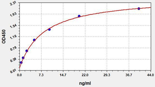 Human MTR (Methionine synthase) ELISA Kit
