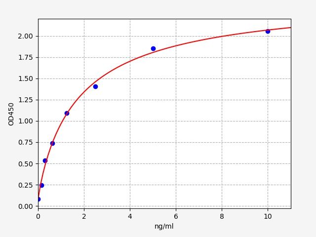 Human AANAT (Serotonin N-acetyltransferase) ELISA Kit