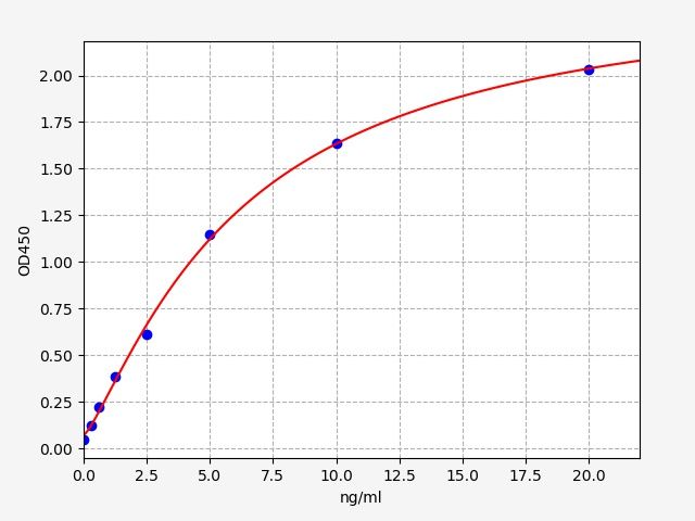 Human CTSC (Dipeptidyl peptidase 1) ELISA Kit