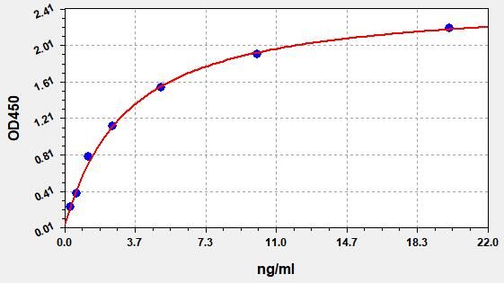 Human WNT10B (Protein Wnt-10b) ELISA Kit
