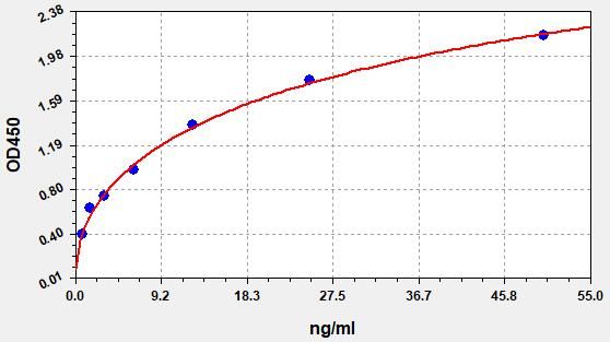 Human OVA (Ovalbumin) ELISA Kit