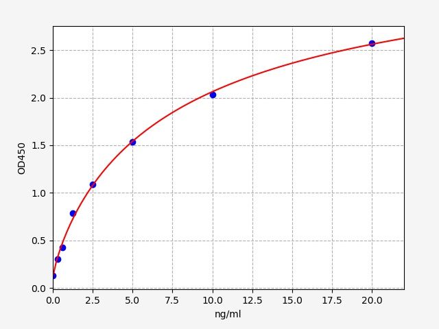 Human SAT1 (Diamine acetyltransferase 1) ELISA Kit