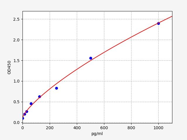 Human BAG2 (BAG family molecular chaperone regulator 2) ELISA Kit