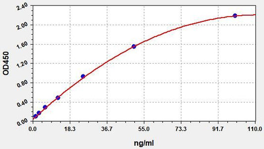 Human Anti-KLHL12 (anti-Kelch-like protein 12 antibody) ELISA Kit