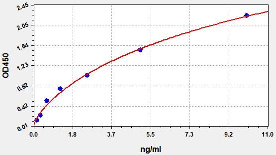 Human CST6 (Cystatin-M) ELISA Kit