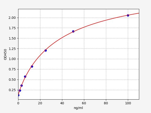 Human anti-nuclear antibody ELISA Kit
