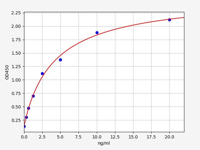 Human CAMK2B (Calcium/calmodulin-dependent protein kinase type II subunit beta) ELISA Kit