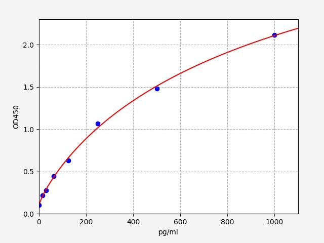 Human ENO3 (Enolase 3) ELISA Kit