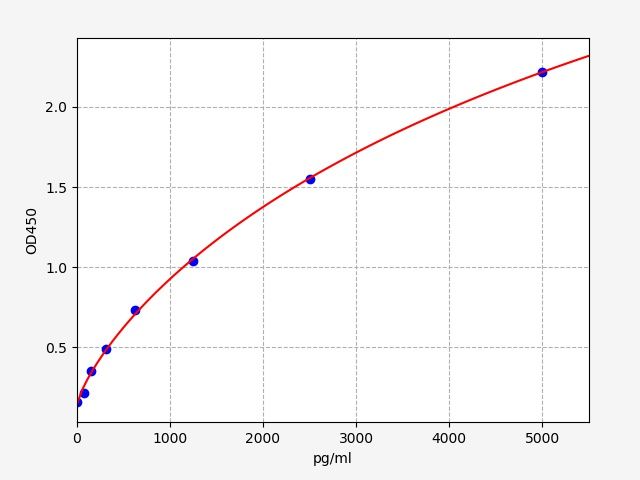 Human LSP1 (Lymphocyte-specific protein 1) ELISA Kit