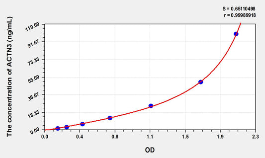 ACTN3 (Actinin Alpha 3) ELISA Immunoassay Kit