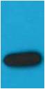 Western blot analysis of mStrawberry recombinant protein with mStrawberry (Mix-mA ™) Mouse mAb EM1164 diluted at 1:5,000.