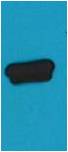 Western blot analysis of recombinant AmCyan protein with EM1173 diluted at 1:5,000.