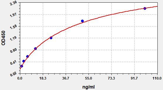 Monkey IgG (Immunoglobulin G) ELISA Kit