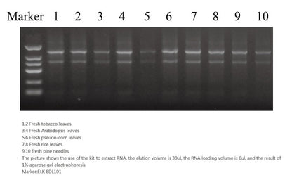 Plant Total RNA Extraction Kit