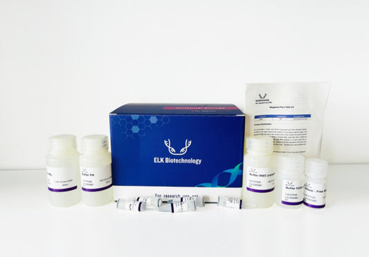 Magbead Plant RNA Kit