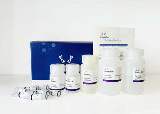 Fast Magbead Tissue DNA Kit