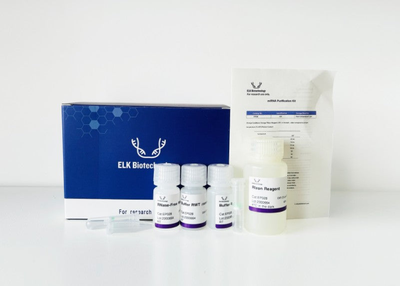 miRNA Purification Kit