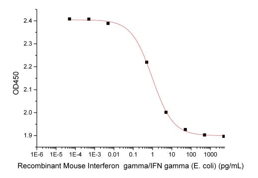 Recombinant Mouse IFN gamma (E. coli)