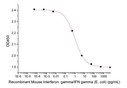 Recombinant Mouse IFN gamma (E. coli)