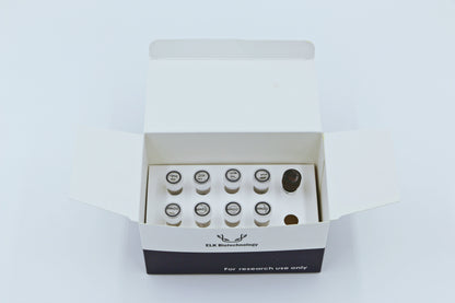 EnTurbo„¢ SYBR Green PCR SuperMix
