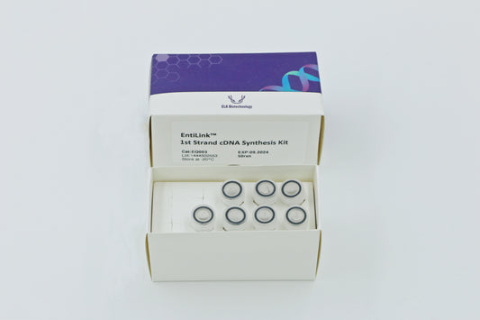 EntiLink„¢ 1st Strand cDNA Synthesis Kit