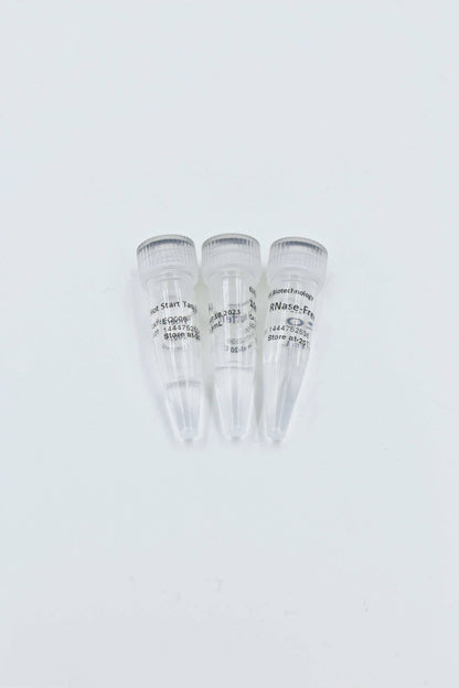 Hot start Taq DNA Polymerase