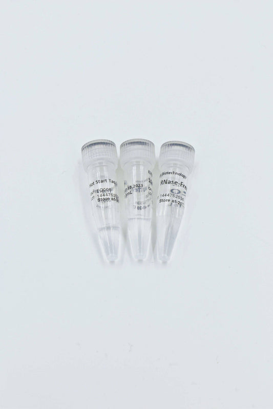 Hot start Taq DNA Polymerase