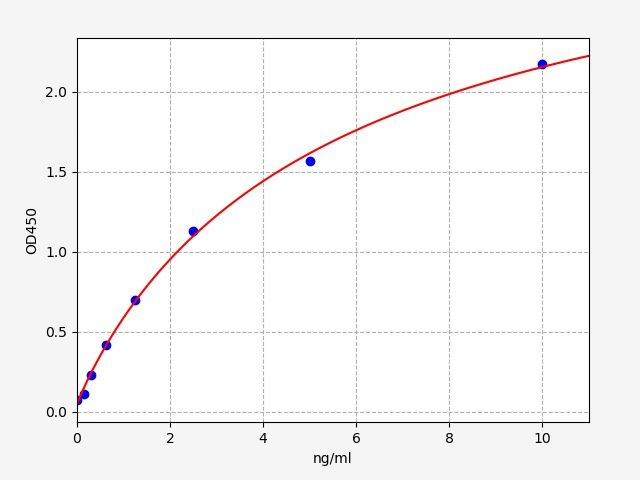 Rat GSK3BETA (Glycogen synthase kinase-3 beta) ELISA Kit