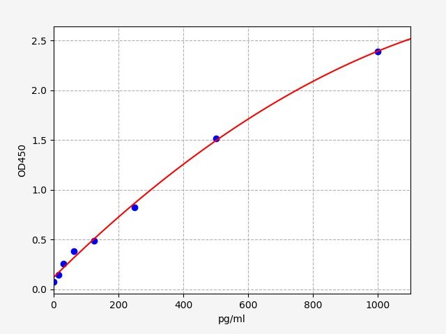Rat TGF-Beta2 (Transforming Growth Factor Beta 2) ELISA Kit