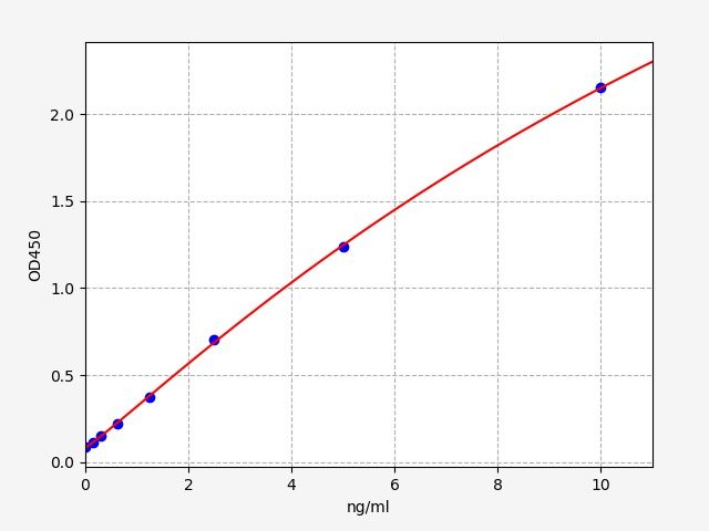Rat LEP (Leptin) ELISA Kit