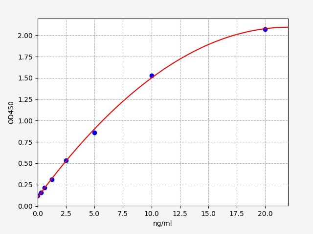 Rat AGE (Advanced glycation end-product) ELISA Kit