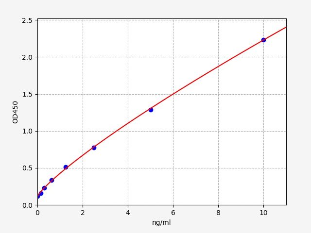 Rat CTSB (Cathepsin B) ELISA Kit