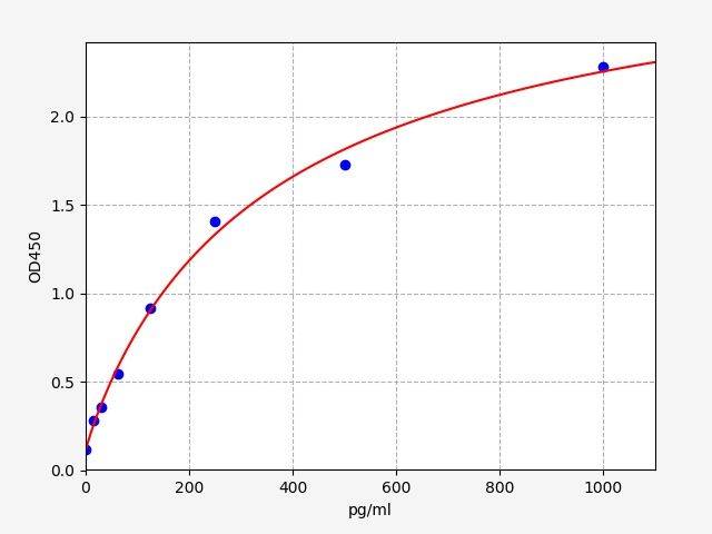 Rat CCK (Cholecystokinin) ELISA Kit
