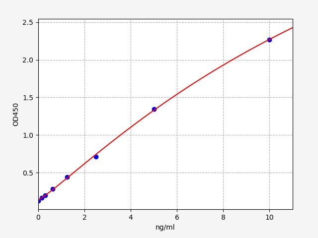 Rat NMT1 (Glycylpeptide N-tetradecanoyltransferase 1) ELISA Kit
