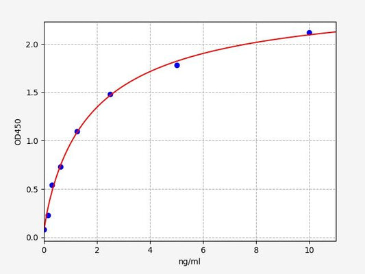 Rat STK11 (Serine/threonine-protein kinase STK11) ELISA Kit