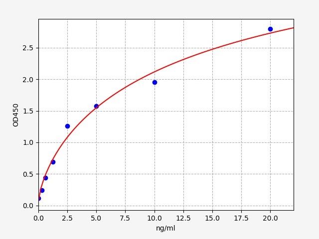 Rat STE2 (Estrogen sulfotransferase, isoform 2) ELISA Kit
