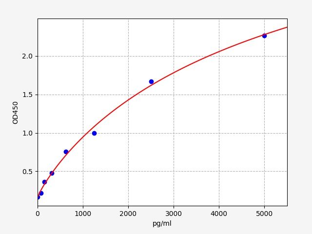Rat MAOB (Amine oxidase [flavin-containing] B) ELISA Kit